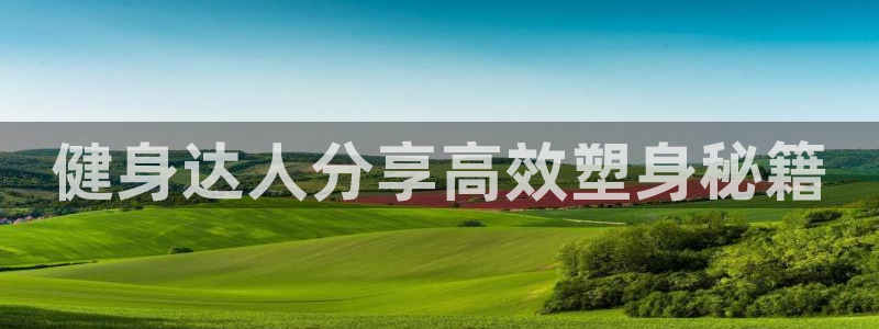 国际龙8官网pt客户端下载