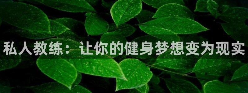 龙8国际网站是多少